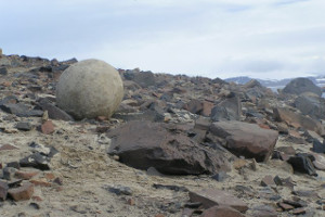 Champ island Champ island