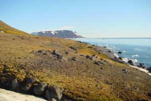 Northbrook island Northbrook island