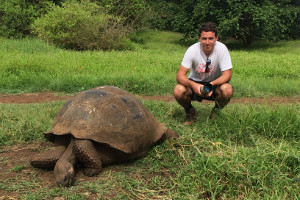 South America cruise wildlfie - giant tortoise South America cruise wildlfie - giant tortoise