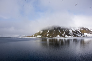 bell island bell island