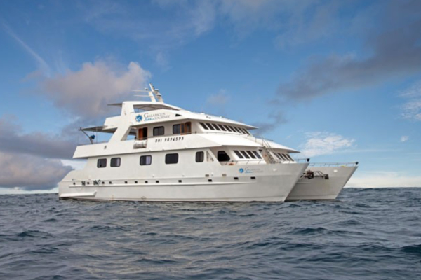 motor-yacht motor-yacht