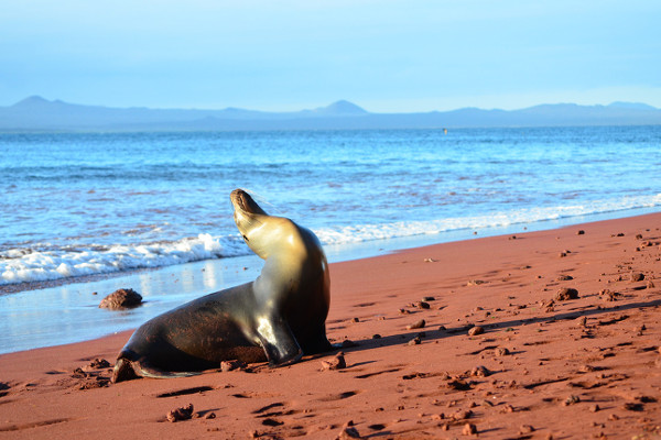 Best time to visit the Galapagos Islands Best time to visit the Galapagos Islands