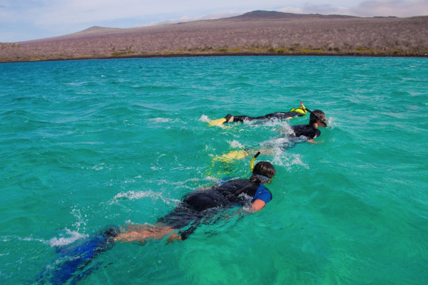 best Galapagos cruise for snorkelling best Galapagos cruise for snorkelling