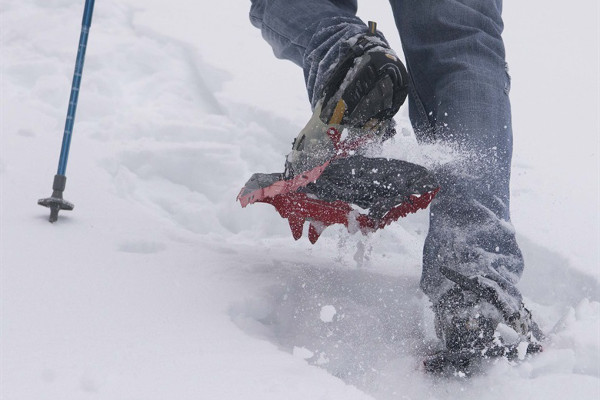 things to do on a Norway cruise - snowshoe