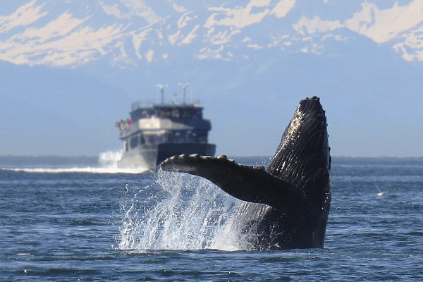 Alaska Inside Passage cruise itineraries - stay