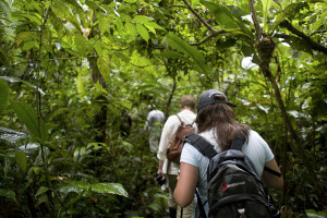 Amazon cruise activities - hiking