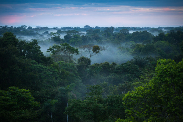 best time to visit the Amazon
